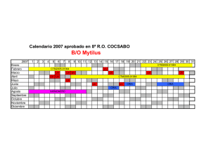 Calendario 2007 aprobado en 8ª RO COCSABO B/O Mytilus