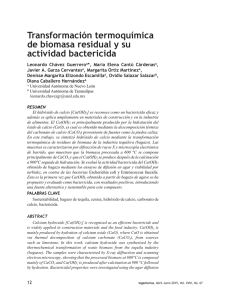 Transformación termoquímica de biomasa residual