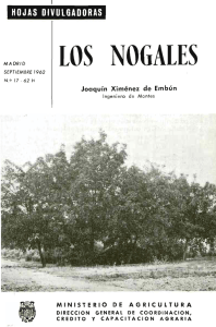 hd_1962_17 Los Nogales Hoja Div