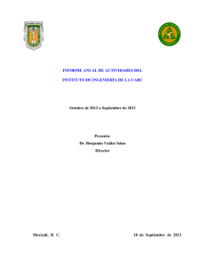 Informe Anual Instituto de Ingeniería 2013