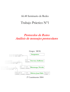 Tp1 (Routing Protocols)
