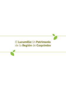 El Lucumillo: Un Patrimonio de la Región de Coquimbo