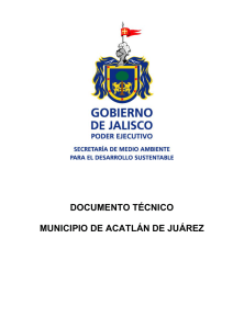 documento técnico municipio de acatlán de juárez