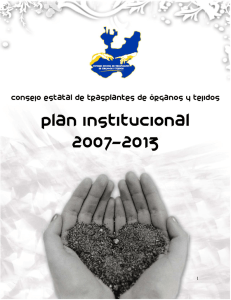 plan institucional cetot 2007-2013