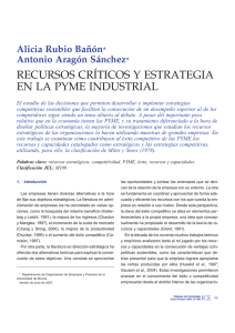 recursos críticos y estrategia en la pyme industrial