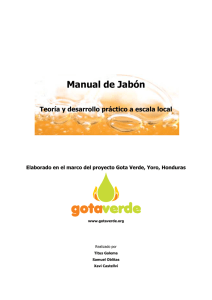 Manual de jabon GV - wikipracticacecar2011