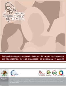 Diagnostico PROSPECTIVO - Instituto Nacional de las Mujeres