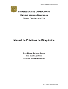 Practicas de Bioquímica 2009 - División de Ciencias de la Vida
