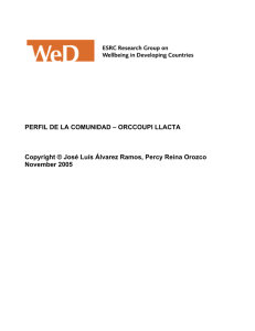PERFIL DE LA COMUNIDAD – ORCCOUPI LLACTA Copyright