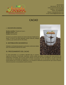 ii. distribución geográfica iii. procesamiento del cacao