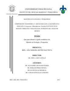 tesis - Universidad Veracruzana