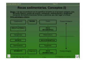 Lección 27. Rocas Sedimentarias