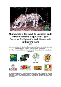 Abundancia y densidad de jaguares en el Parque