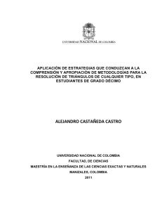 alejandro castañeda castro - Universidad Nacional de Colombia