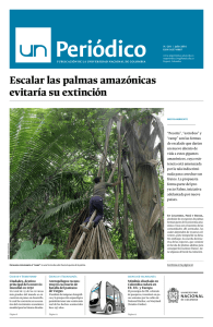 Escalar las palmas amazónicas evitaría su extinción
