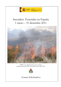 Incendios Forestales en España 1 enero – 31 diciembre 2011