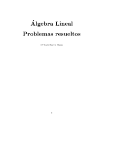 Algebra Lineal - Problemas Resueltos (Groupsite ACV)
