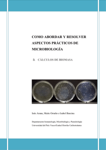 C&aacute;lculos de Biomasa en Microbiolog&iacute;a: Ejercicios Pr&aacute;cticos