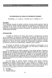 EFLORESCENCIA DE LADRILLOS CERAMICOS COMUNES