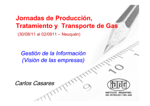 Gestión de la Información - Instituto Argentino del Petroleo y del Gas