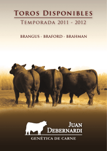Catálogo Completo - Juan Debernardi S.R.L.