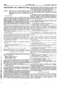 PDF (BOE-A-1976-21119 - 4 págs. - 291 KB )