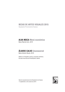 Dossier de prensa Becas Artes Visuales 2015