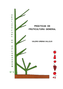 prácticas de fruticultura general