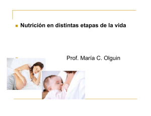 Nutrición en distintas etapas de la vida Prof. María C. Olguin Prof