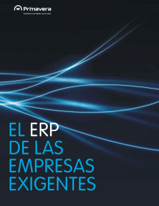 Primavera ERP Vision General del Producto