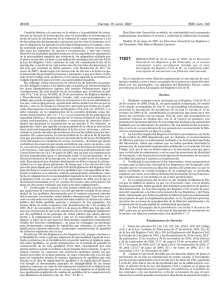 PDF (BOE-A-2007-11821 - 2 págs. - 75 KB )