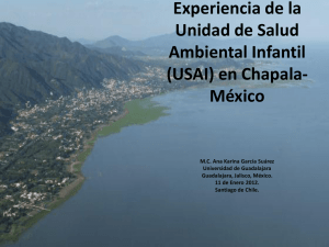 Karina García Experiencia de la Unidad de Salud Ambiental Infantil
