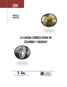 la cadena cárnica ovina en colombia y uruguay