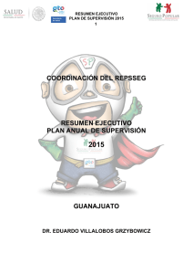 Informe ejecutivo plan anual de supervisión 2015