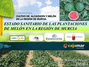 Estado sanitario de las plantaciones en la Región de Murcia