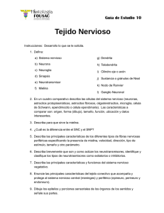Tejido Nervioso - Apoyo para la Fac. de Odontología – USAC