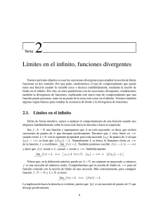 Tema 2: Límites en el infinito, funciones divergentes
