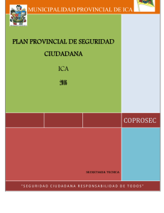 plan provincial de seguridad ciudadana