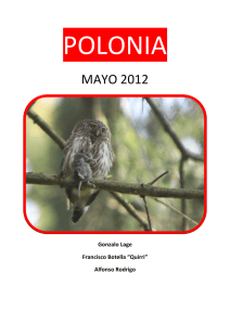 Mayo - 2012 - Reservoir Birds