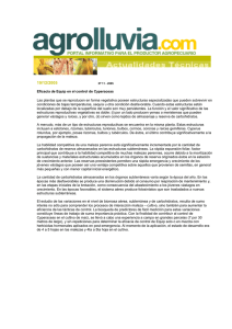 Bayer CropScience- EFICACIA DE EQUIP EN EL