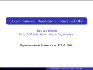Cálculo numérico. Resolución numérica de EDPs.