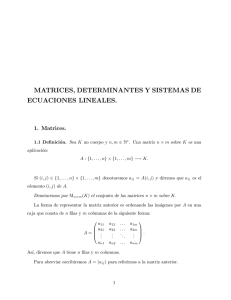 matrices, determinantes y sistemas de ecuaciones lineales.
