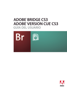 Bridge/Version Cue