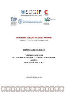 Bases Concurso Negocios Inclusivos - Ayacucho  pdf