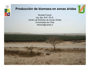 Producción de biomasa en zonas áridas
