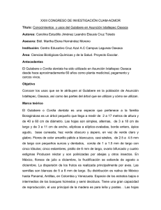 Conocimientos y usos del Gulabere en Asunción Ixtaltepec Oaxaca