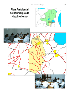 Plan Ambiental del Municipio de Niquinohomo