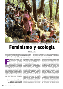 Feminismo y ecología