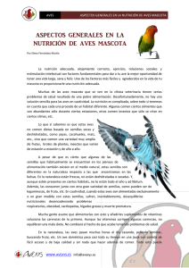 aspectos generales en la nutrición de aves mascota