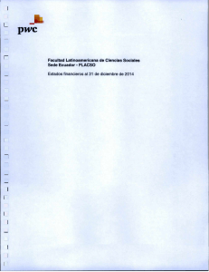 Informe Auditoría Financiera Externa 2014
